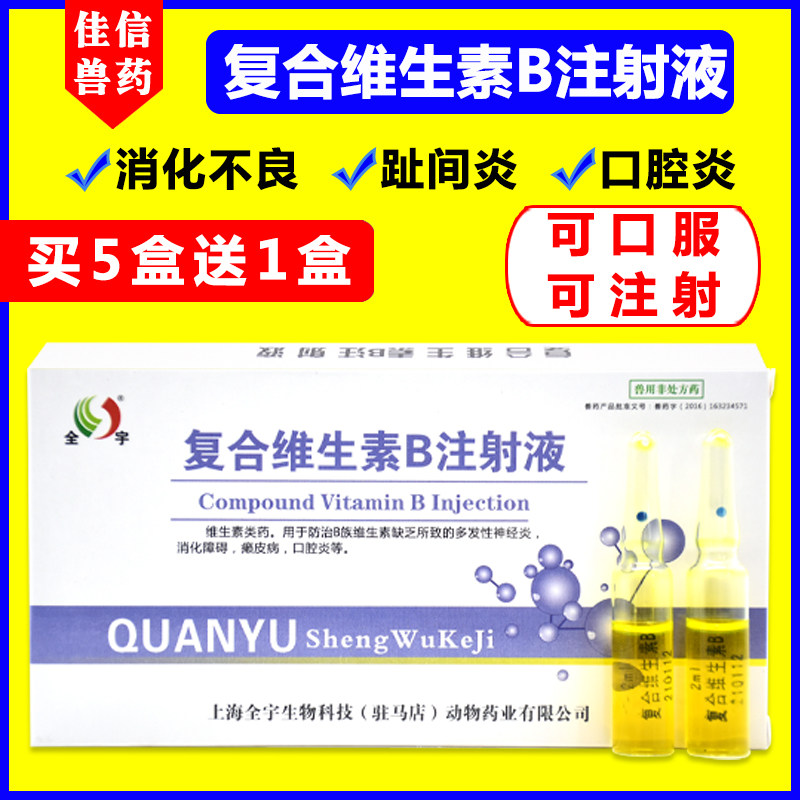复合维生素b宠物口腔炎开胃消化不良皮肤病猫咪狗狗趾间炎专用药
