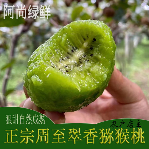 【周至阿尚】现摘绿心翠香猕猴桃