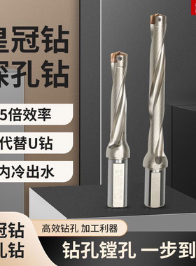 戴斯卡皇冠钻头刀杆定心暴力钻内冷喷水刀柄数控高速深孔钻大直径