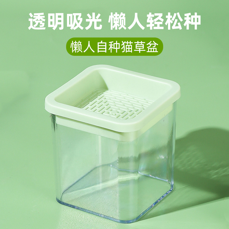 懒人猫草水培盆杯种植排毛球化毛