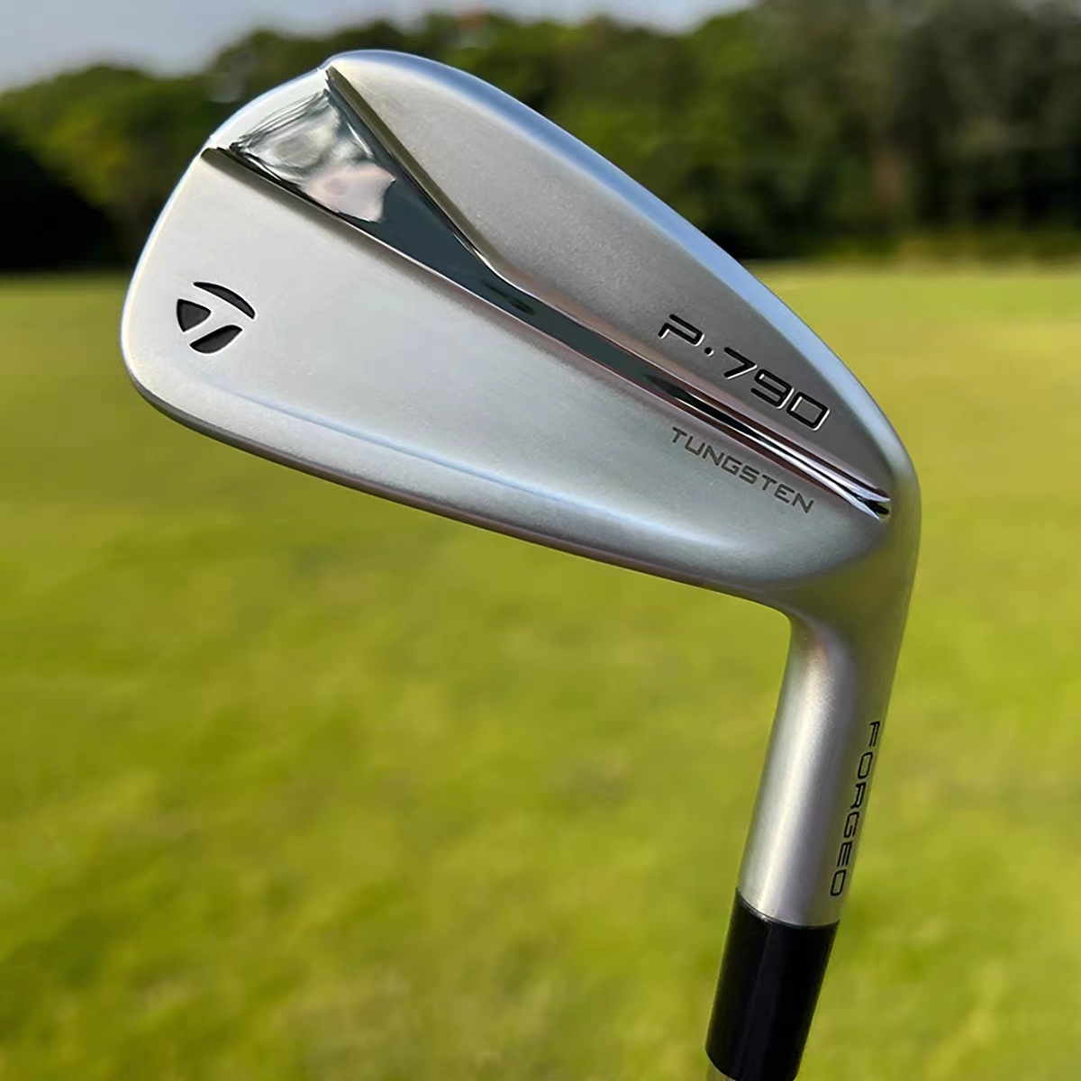 TaylorMade泰勒梅高尔夫球杆新款男士铁杆P790三代锻造单支铁杆