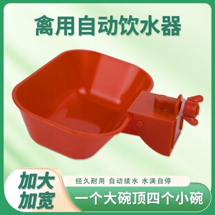 新款特大号鸡鸭鹅自动饮水碗喂水器加大加厚家禽宠物猫狗兔用水碗