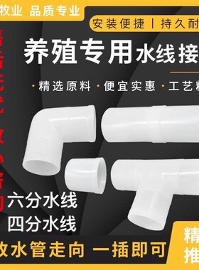 鸡用水线接头养殖专用6分三通直通弯头堵头养殖饮水器水线接头6分
