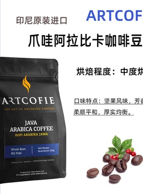 进口原装印尼爪哇ARABICA阿拉比卡咖啡豆中烘焙现磨手冲香醇200克