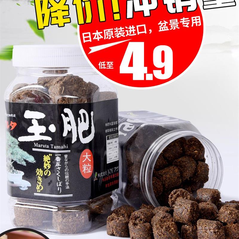 玉肥盆景专用日本原装进口花肥料松柏有机缓释肥绿植盆栽颗粒肥料