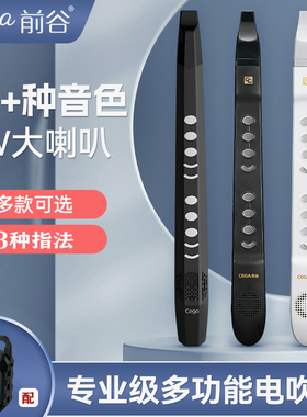 前谷cega电子吹管初学迷你笛子专业演奏级乐器大全初学入门萨克斯