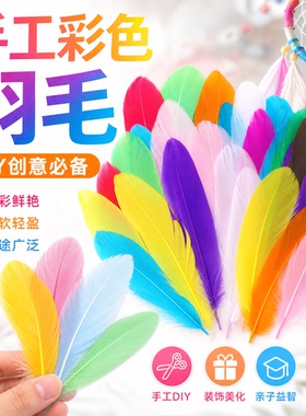 diy幼儿园创意美术课程彩色羽毛