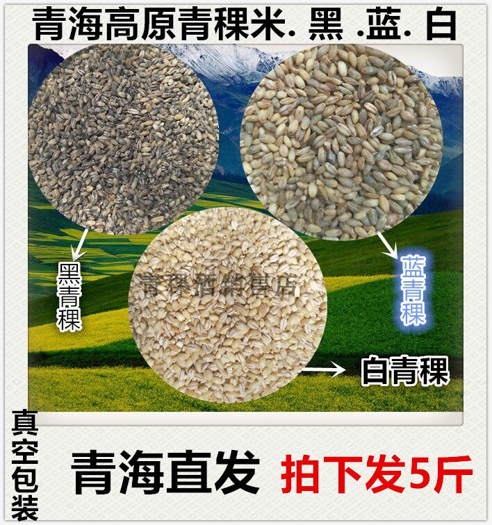 青海 新米黑青稞米 蓝青稞米 白青稞米5斤麦仁青藏高原谷物杂粮米