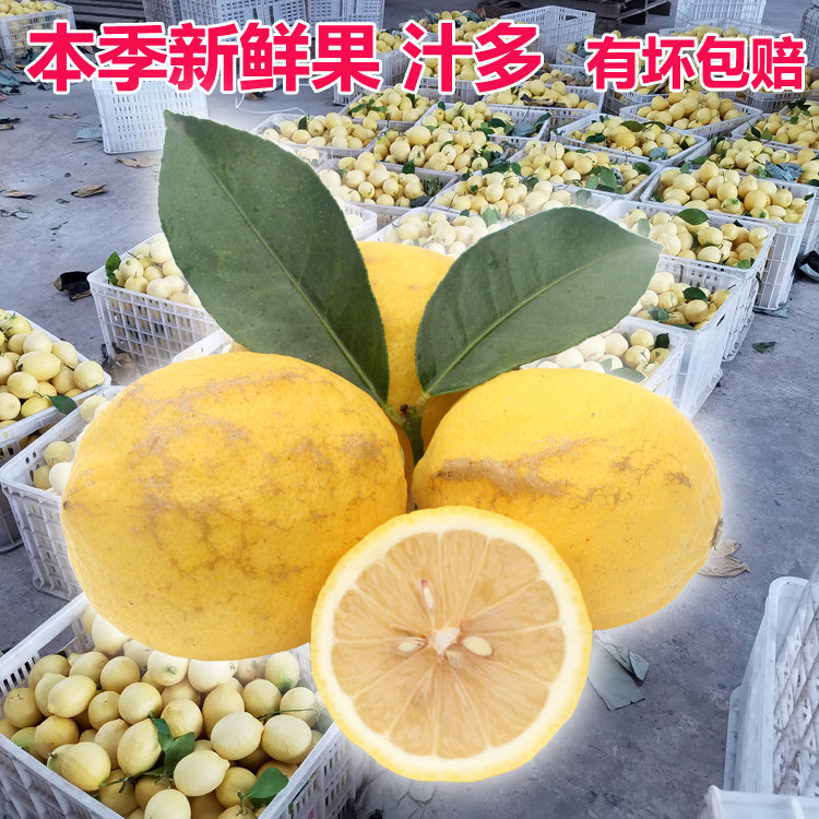30斤装】四川安岳黄柠檬 二三级果皮薄肉厚新鲜现榨果汁优选原料