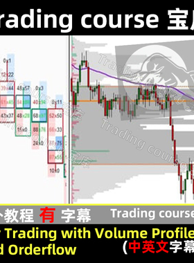 Day Trading with Volume Profile and Orderflow 中英文字幕