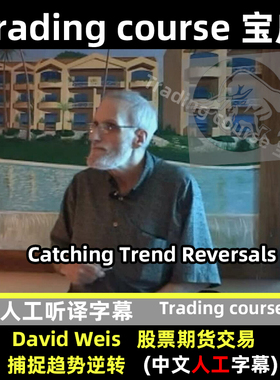 DavidWeis CatchingTrend戴维斯捕捉趋势逆转 中文人工字幕威科夫