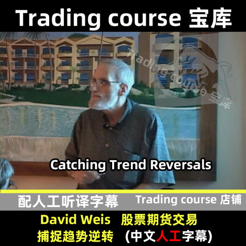 DavidWeis CatchingTrend戴维斯捕捉趋势逆转 中文人工字幕威科夫