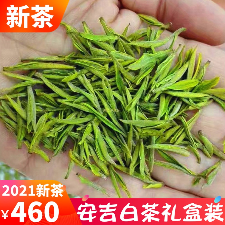 2021新茶正宗安吉白茶明前特级绿茶叶白叶春茶头采嫩芽250g礼盒装