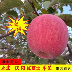 甘肃庆阳苹果应季水果新鲜宁县红富士陕西平安果可带皮吃整箱包邮