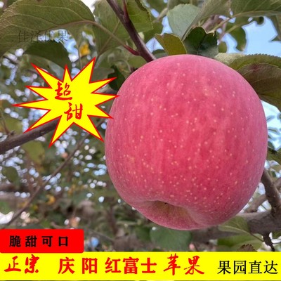 甘肃庆阳苹果应季水果新鲜宁县红富士陕西平安果可带皮吃整箱包邮
