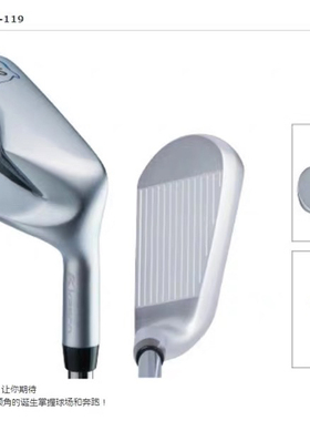 日本正品代购KASCO高尔夫球杆Dolphin DRW-119 DPW-119 Dolphin D
