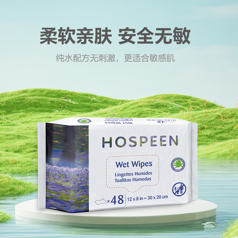 那特恩大号车用老人护理2包湿巾