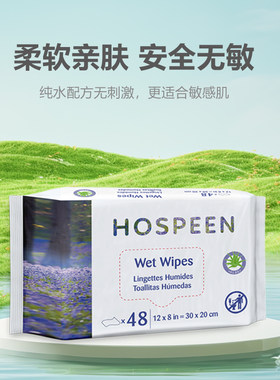 那特恩大号车用老人护理2包湿巾
