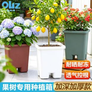 蓝莓专用盆种树箱葡萄果树盆加深特大号绣球月季盆户外种植箱花箱