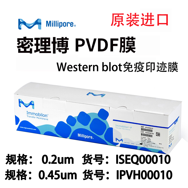 密理博PVDF膜转印免疫印迹膜