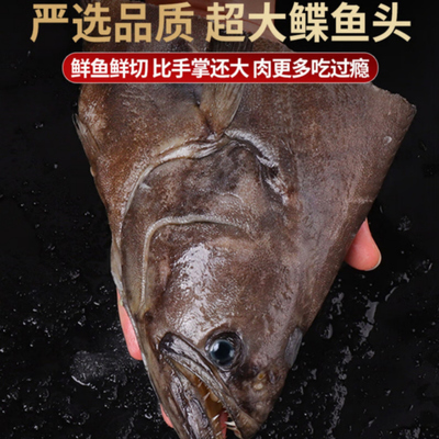 上海24小时发货】冰岛深海碟鱼头新鲜冷冻雅片鱼头商用超大鲽鱼头