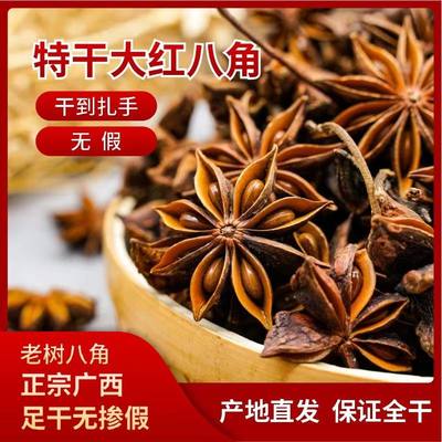 八角纯干无硫广西调味料大茴香