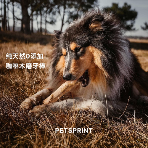 咖啡木狗狗磨牙棒洁齿防拆家