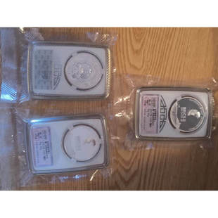 2017年金砖厦门会晤30克精制银币999纯银