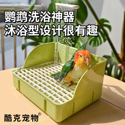 鹦鹉洗澡盆自动循环大号小鸟专用浴盆玄凤虎皮牡丹淋浴神器