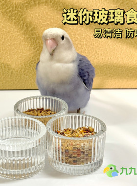 鹦鹉易清洁防啃咬玻璃碗