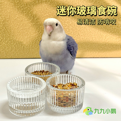 鹦鹉易清洁防啃咬玻璃碗