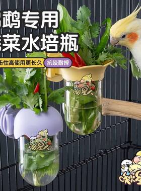 小太阳鹦鹉水培瓶蔬菜豆苗保鲜罐玄凤和尚花插蓄水喂食器