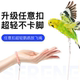 小太阳和尚鹦鹉放飞绳户外遛鸟牵引弹力绳超轻不伤脚训练绳玄凤