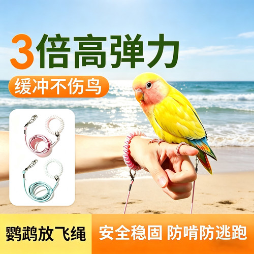 牡丹鹦鹉放飞绳3倍高弹力缓冲不伤鸟安全稳固防啃防逃跑训练绳