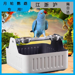 月轮鹦鹉专用定点排便站架鹦鹉桌面站架排便站架定点训练垃圾桶