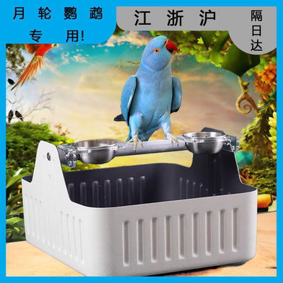 月轮鹦鹉专用定点排便站架