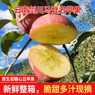 中国电建消费帮扶指定产品剑川糖心丑苹果新鲜整箱当季5斤/10斤装