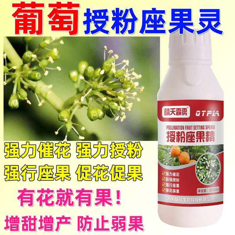 大樱桃授粉座果灵强效授粉药提高产量樱桃树防落沾花素农用正品