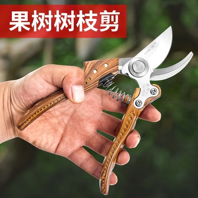 园林剪刀专业级果枝剪Pruning Shears锋利果树剪鸟嘴园林修枝剪