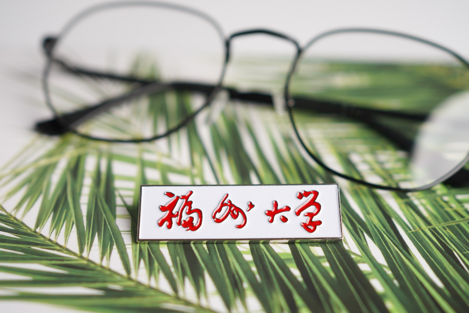 福州大学校徽 福大校徽 福州大学徽章 福州大学纪念品