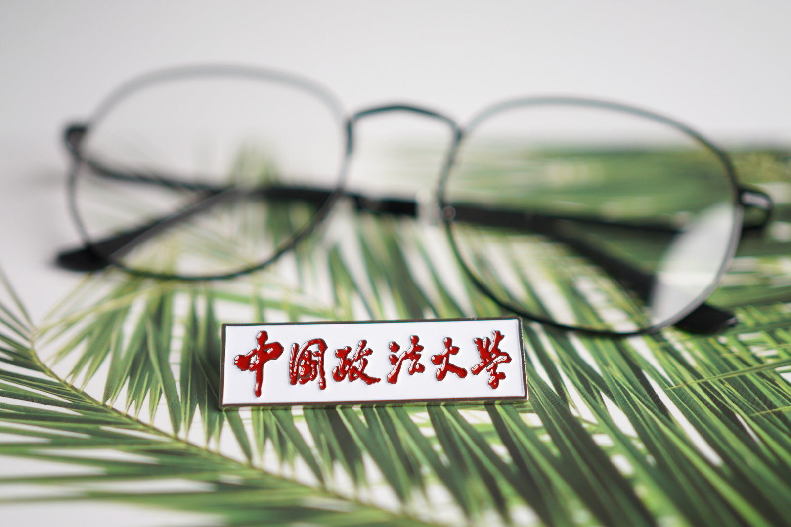 中国政法大学徽章纪念品