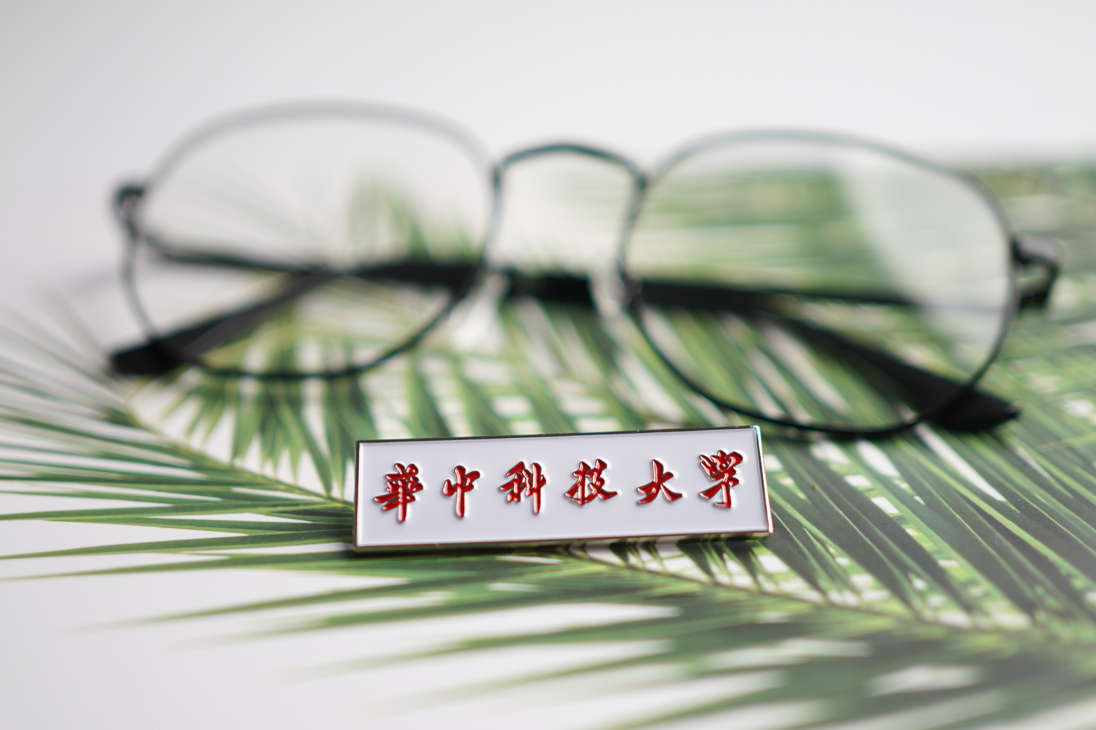 华中科技大学纪念品徽章