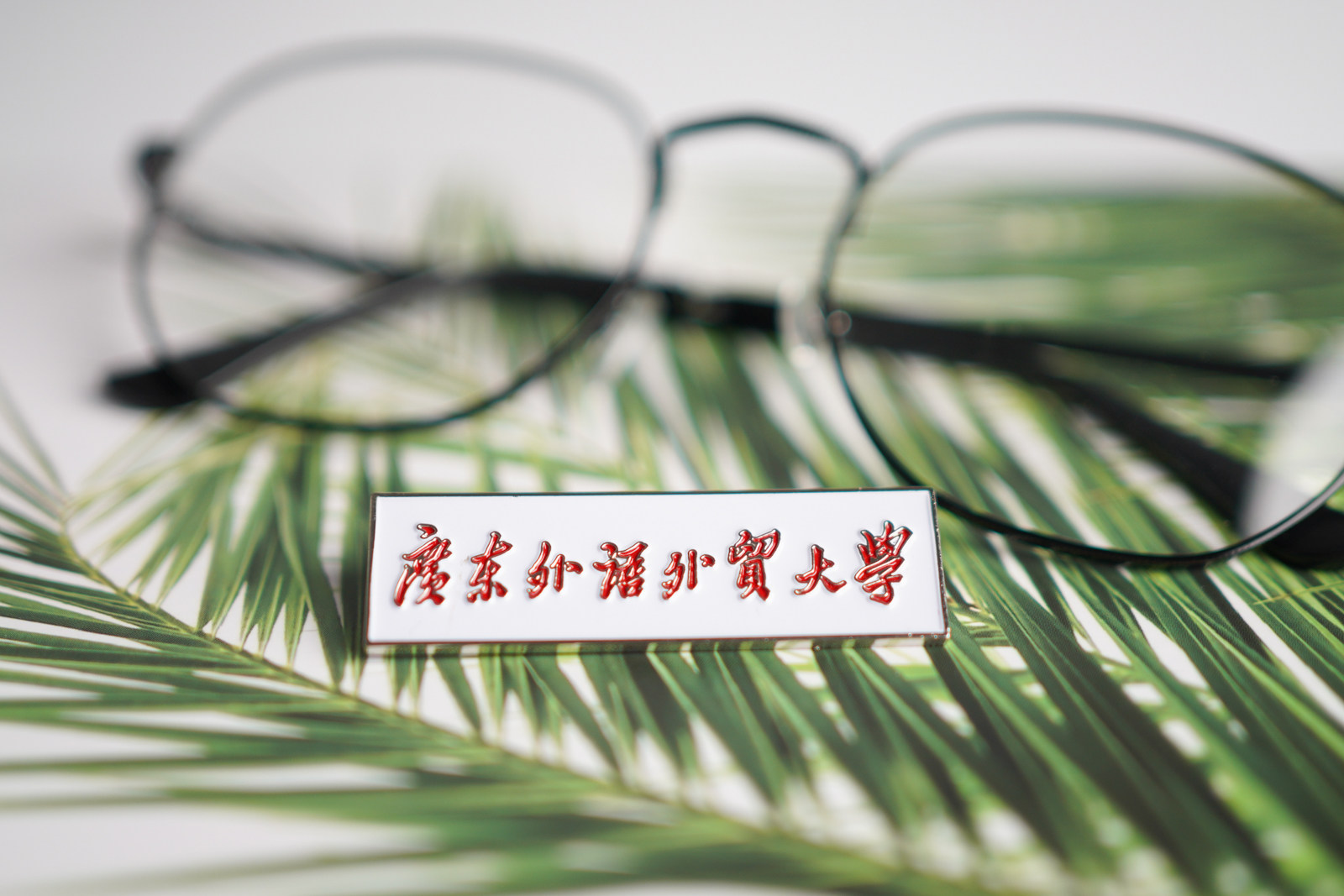 广东外语外贸大学校徽 广外校徽 广东外语外贸大学徽章广外纪念品