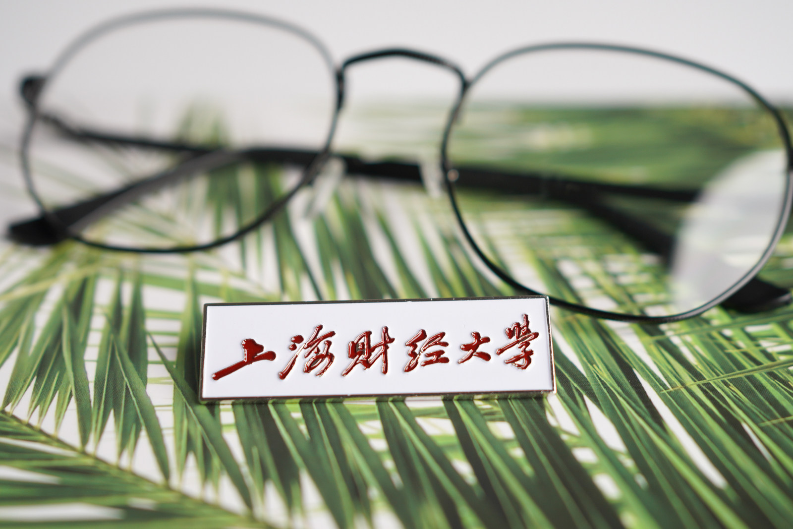 上海财经大学校徽 上财校徽 上海财经大学徽章上海财经大学纪念品