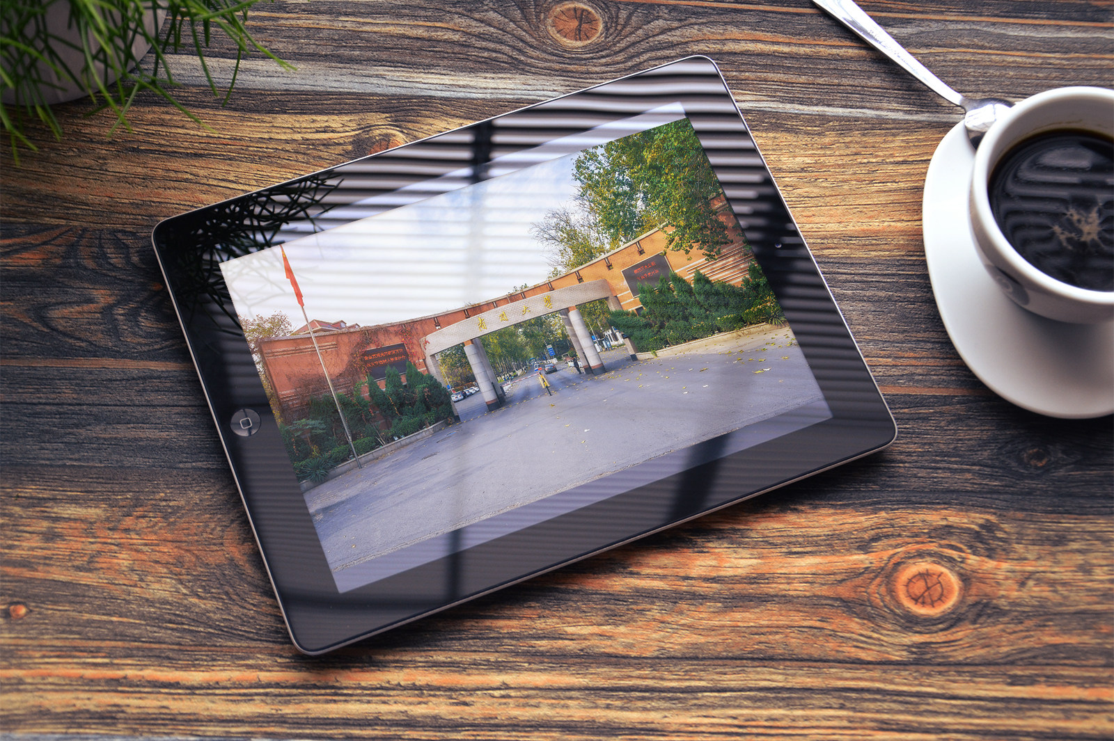 南开大学电子版照片  虚拟产品 南开大学手机电脑壁纸,商务/设计服务,设计素材/源文件,淘宝优惠券,粉丝福利购,淘宝优惠卷