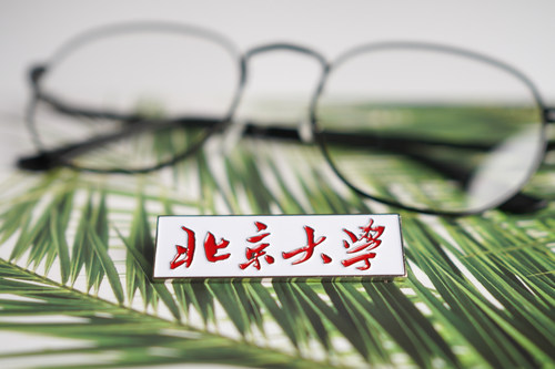 北京大学校徽徽章纪念品