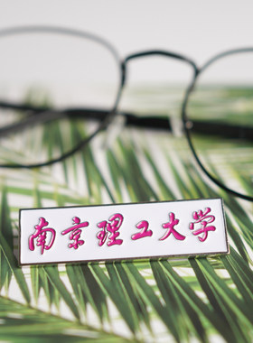 南京理工大学纪念品徽章