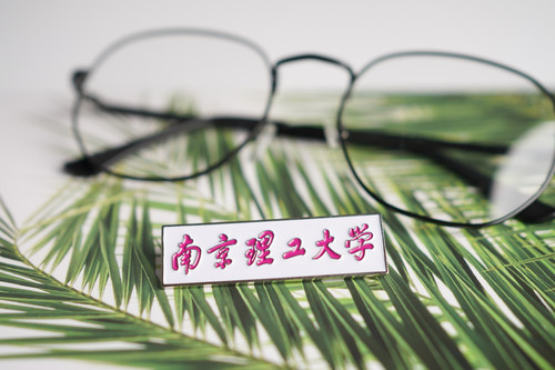 南京理工大学纪念品徽章