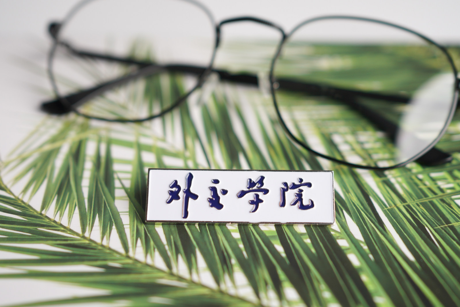 外交学院校徽 外交学院校徽 外交学院徽章 外交学院纪念品