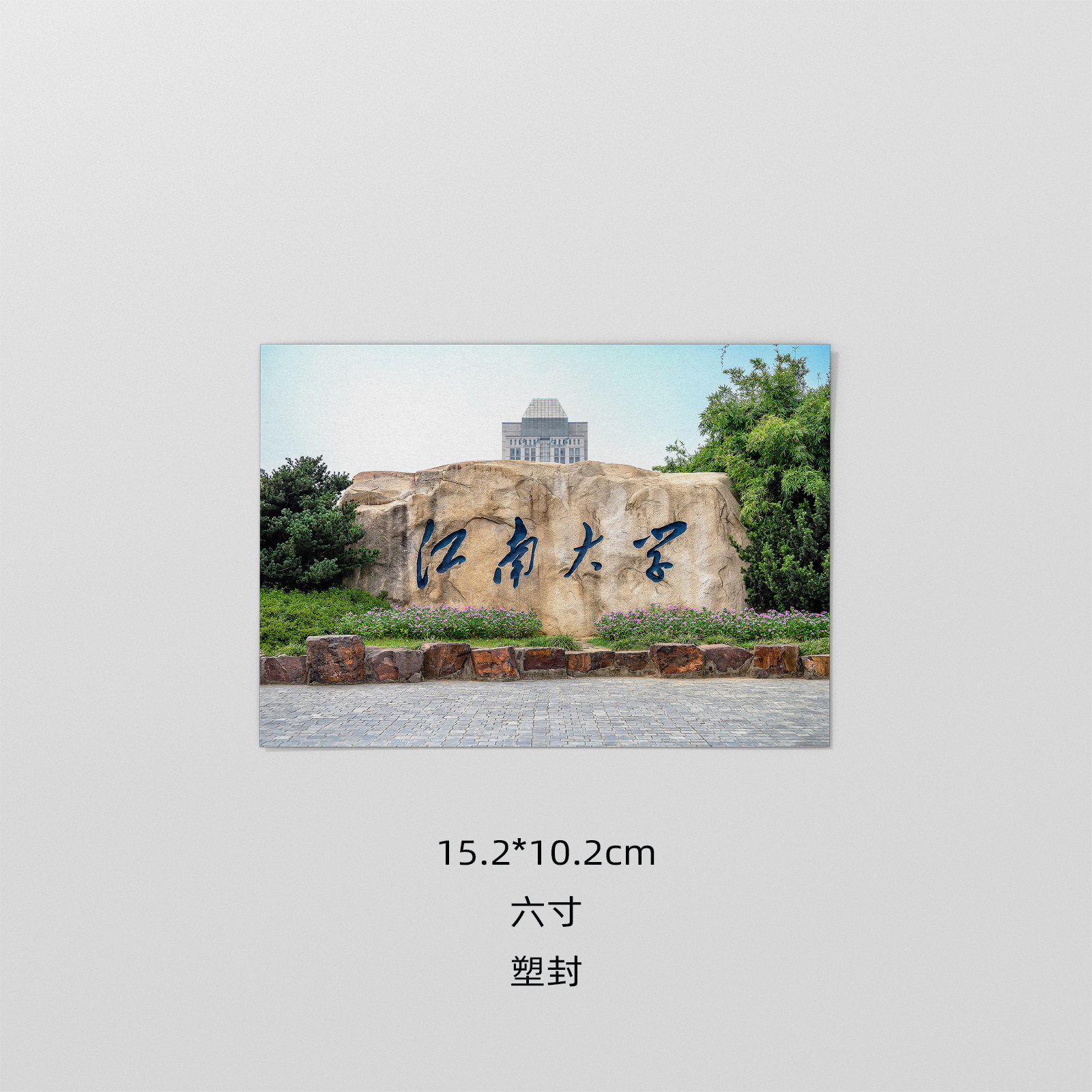 江南大学照片 江大照片 江南大学塑封照相片